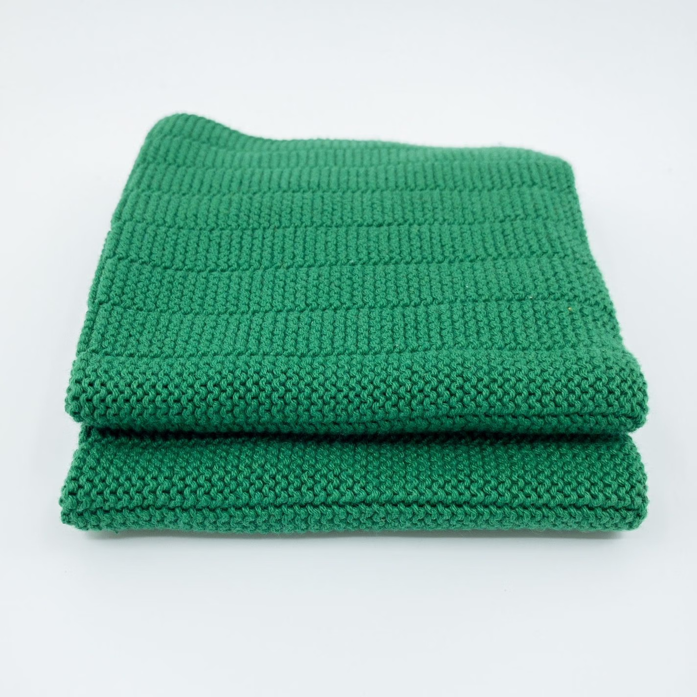 Ecovask Dish Cloth - twin pack