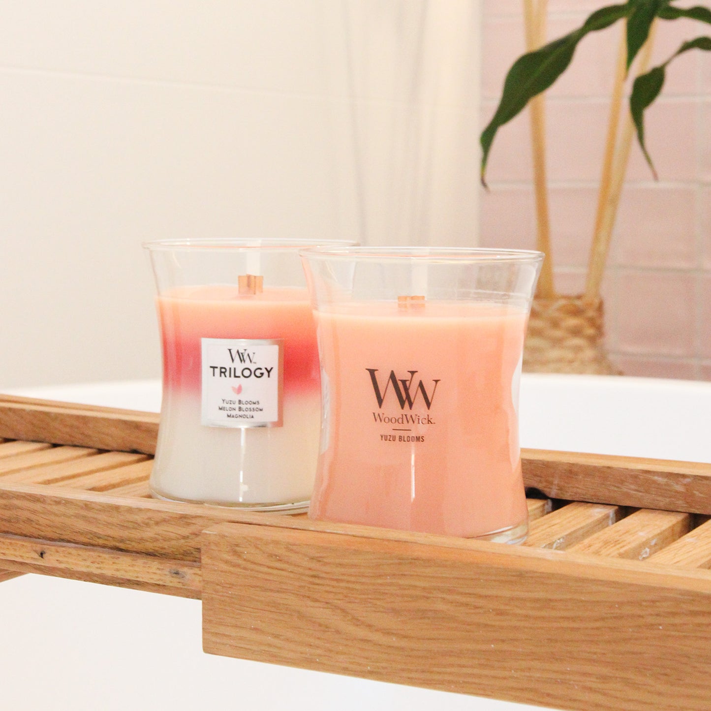 Woodwick Candle - Blooming Orchard Trilogy