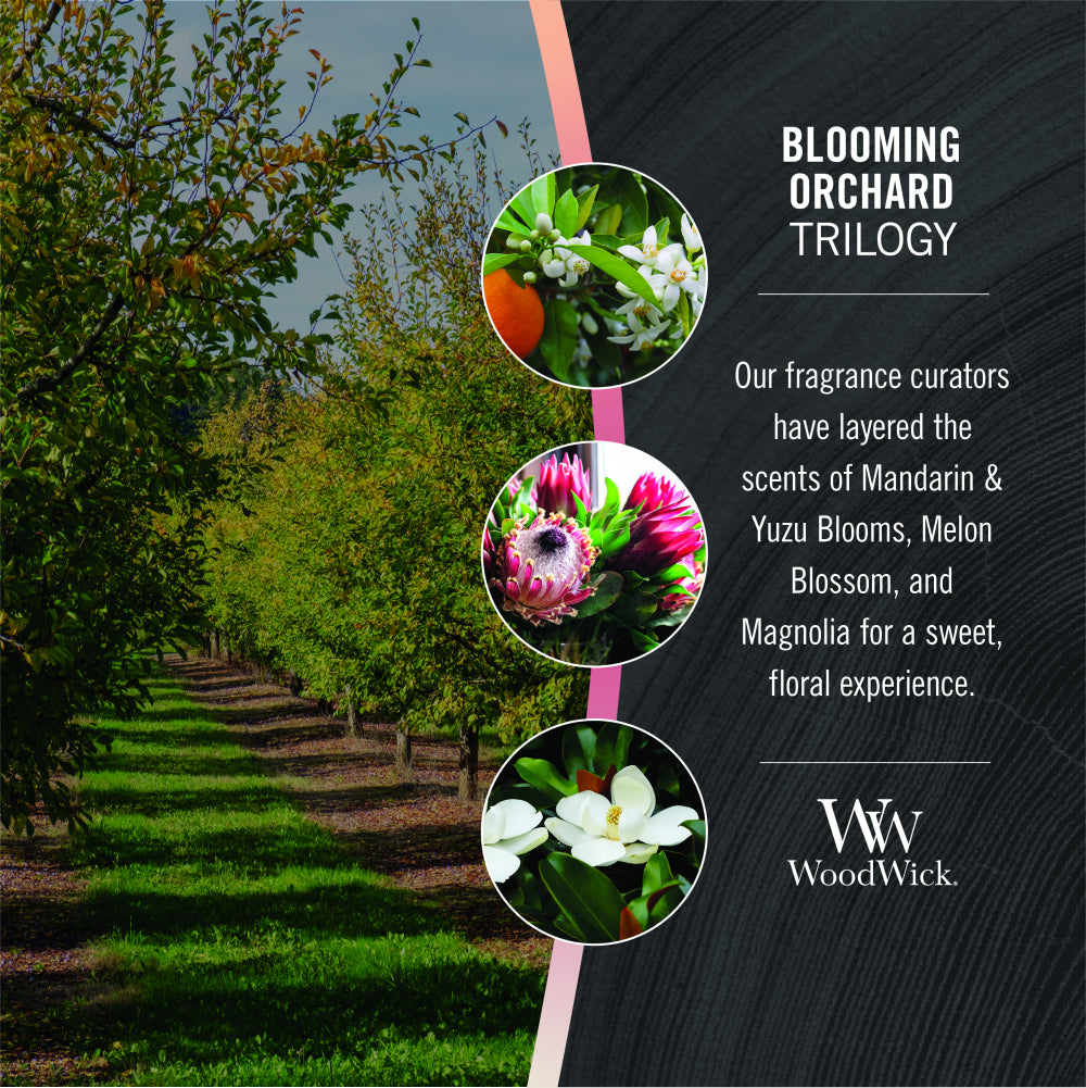 Woodwick Candle - Blooming Orchard Trilogy