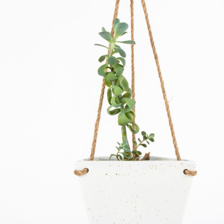Trade Aid Conical Hanging Planter